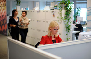 В тесноте и обиде. Сколько офисных клерков поместится на одном квадратном метре?