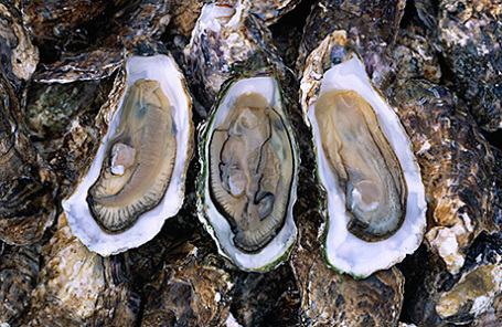 http://cdn.bfm.ru/news/maindocumentphoto/2016/03/16/oysters.jpg