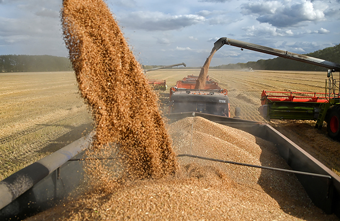 Новые битвы на экономическом фронте: почему на первый план выходит тема зерновой сделки?