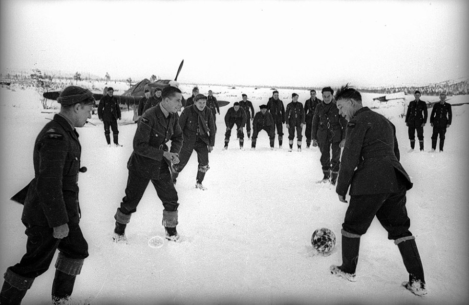 Халдей фотографии с описанием