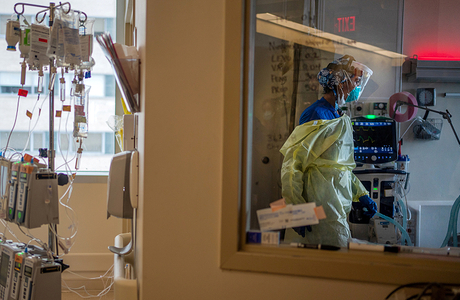 Стоит ли бояться штамма коронавируса «йота»?