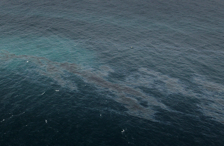 РАН: разлив нефти у Новороссийска в 400 тысяч раз больше заявленного ранее