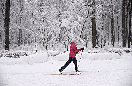 Как ЗОЖ влияет на госбюджеты?