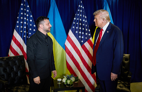 Каких результатов можно ожидать от предстоящей встречи Трампа с Зеленским?