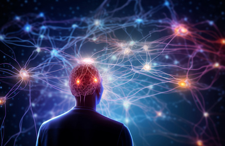 Как устроена память?