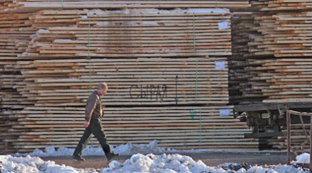 Лесоповал идет на спад. Фото: PhotoXPress