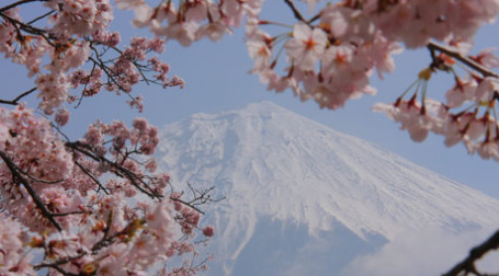 Фото: Furbychan/flickr.com