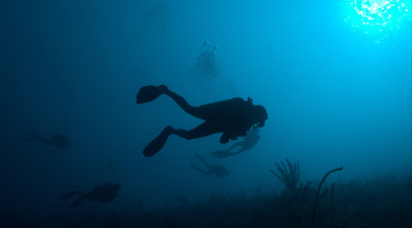 Аквалангисты под водой. Фото: Scubaben/flickr.com