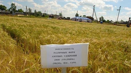 Применение удобрений на поле. Фото: uralchem.ru