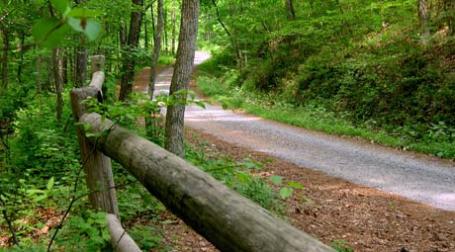 Фото: Kendrick Shackleford/flickr.com
