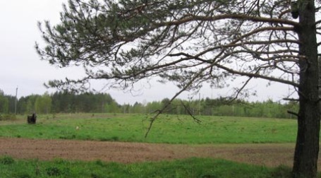 Земельный участок. Фото: toropets-land.ru