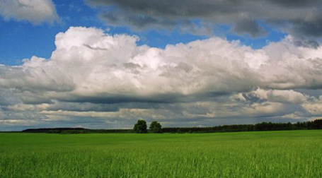 Земля в Кировской области. Фото: ako.kirov.ru