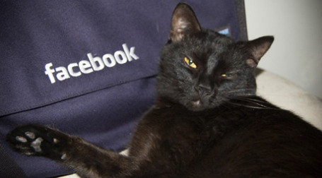 Facebook может не жаловать на чужой сглаз. Фото: Bryan Veloso/flickr.com
