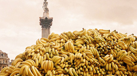 Многолетняя банановая война завершилась снижением пошлин. Фото: michaelpickard/flickr.com