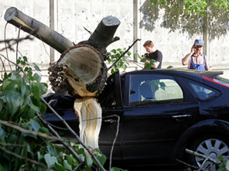Одно из последствий ненастья в Москве. Фото: РИА Новости