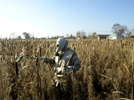 Фото: РИА Новости