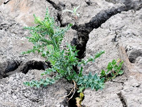 Фото: РИА Новости