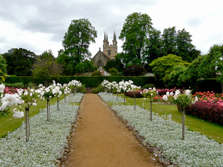 Фото: Rita Willaert/flickr.com