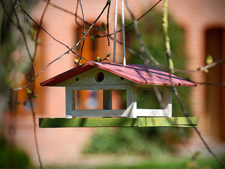Фото: paraflyer/flickr.com