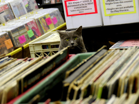 Фото: thomasmperry/flickr.com