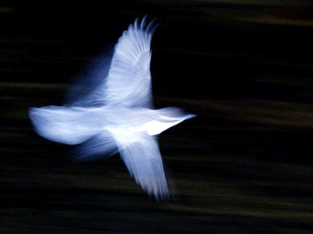 Фото: Steve-h/flickr.com