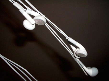 Фото: williamli/flickr.com