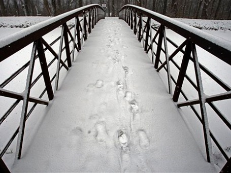 Фото: AP