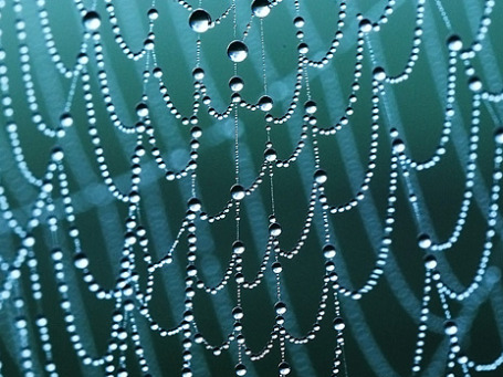 Фото: Jeroen Bosman/flickr.com