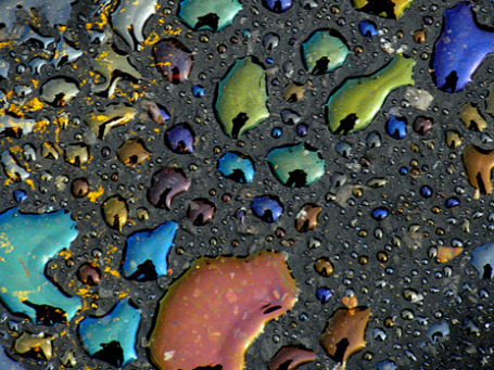 Фото: arbyreed/flickr.com