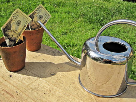 Фото: images_of_money/ flickr.com