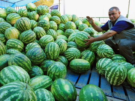 Фото: РИА Новости