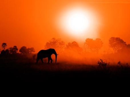 Фото: najeebkhan2009/flickr.com