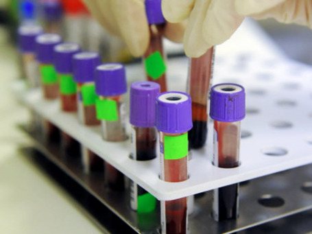 Фото: РИА Новости