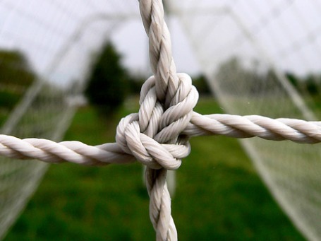 Фото: Matt Niemi/ flickr.com