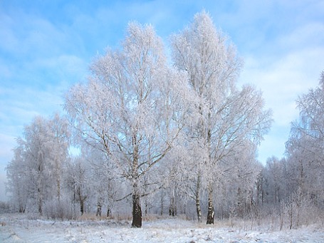 Фото: Anatoly Kraynikov/flickr.com