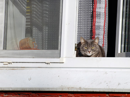 by akk_rus/flickr.com