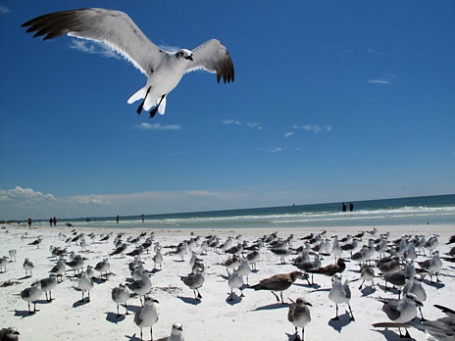 Фото: Victoria Belanger/flickr.com