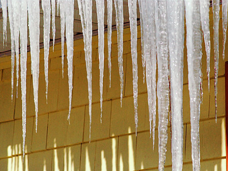 Фото: Stephen Downes/flickr.com
