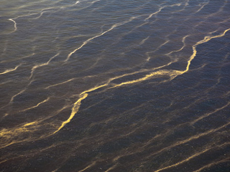 Такой черной была вода в Мексиканском заливе после аварии BP. Фото: Reuters