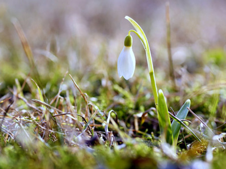 Фото: Tauno Erik/flickr.com