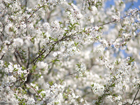 Фото: prosto photos/flickr.com