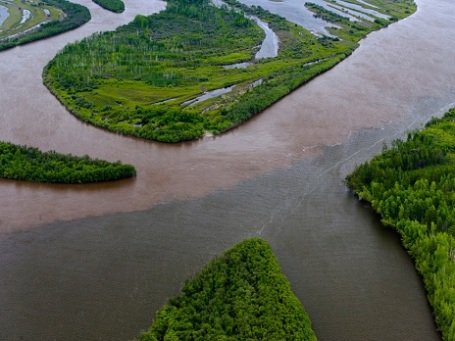 Фото: Сергей Фомин