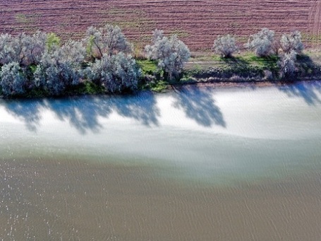 Фото: Сергей Фомин
