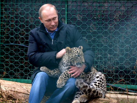 4 февраля 2014. Президент России Владимир Путин во время посещения Центра разведения и реабилитации переднеазиатского леопарда, расположенного в Сочинском национальном парке. Фото: РИА Новости