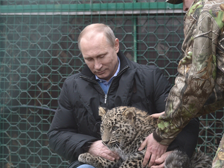 Президент РФ Владимир Путин в клетке с леопардом. Фото: РИА Новости