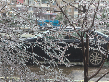 Фото: РИА Новости