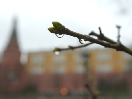 Фото: РИА Новости