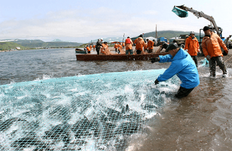 Ловля рыбы на Камчатке.