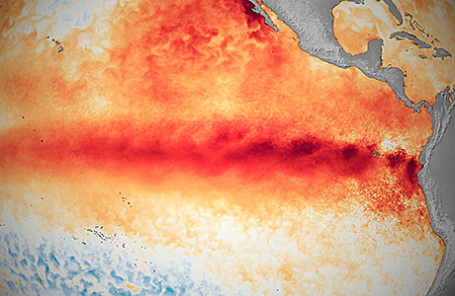 Фрагмент карты температуры поверхности воды Мирового океана.