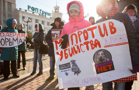 Участники пикета против жестокого обращения с животными, требующие ужесточить ответственность за издевательства над животными и их убийство.